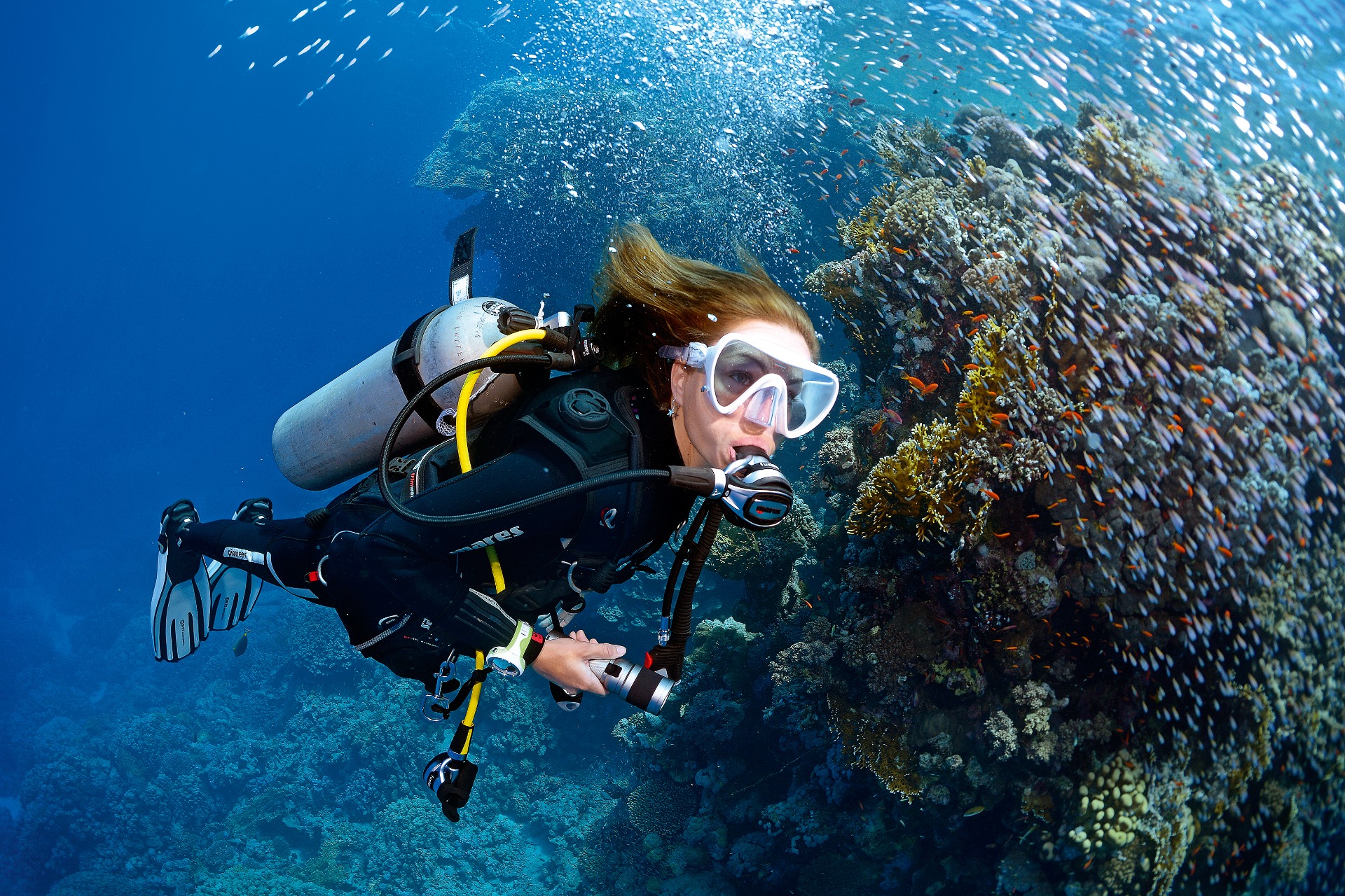 Fun Diving