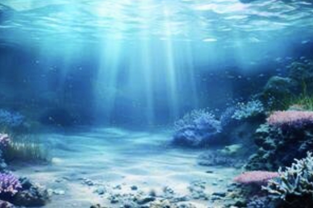 Bambus Diving